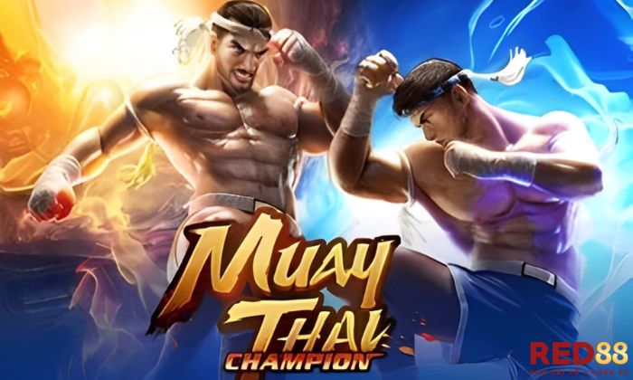 Muay Thai Champion Red88 Tổng quan về Muay Thai Champion Red88