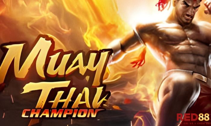 Muay Thai Champion Red88 Ưu điểm của Muay Thai Champion Red88