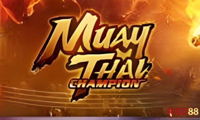 Muay Thai Champion Red88 Tính năng đặc biệt trong Muay Thai Champion Red88