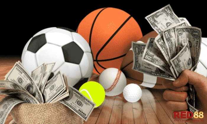 C Sports Red88 Những kinh nghiệm hữu ích để chơi cá cược bóng đá