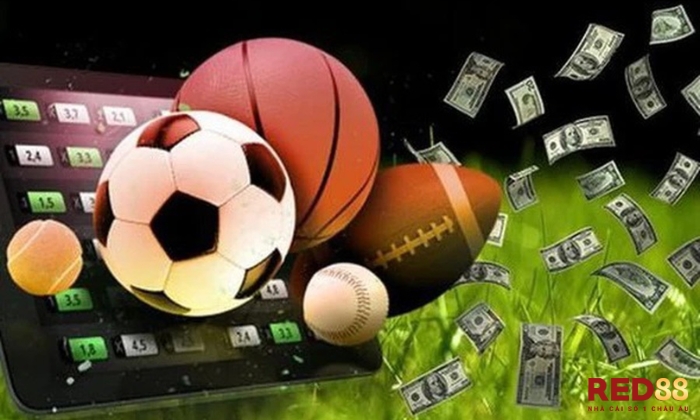 K Sports Red88 Kinh nghiệm chơi K Sports Red88 từ các cao thủ